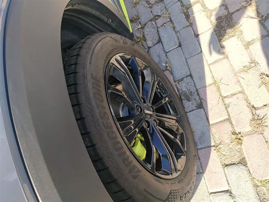 Haval H6S 2022 immagine di auto #24