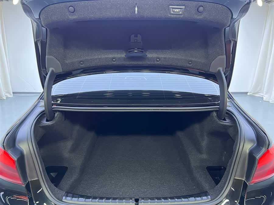 BMW 5 Series 2021 car image #24