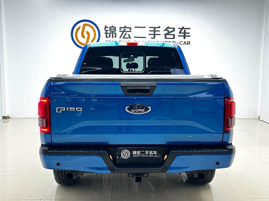 Ford F-150 Raptor 2017 car image #24