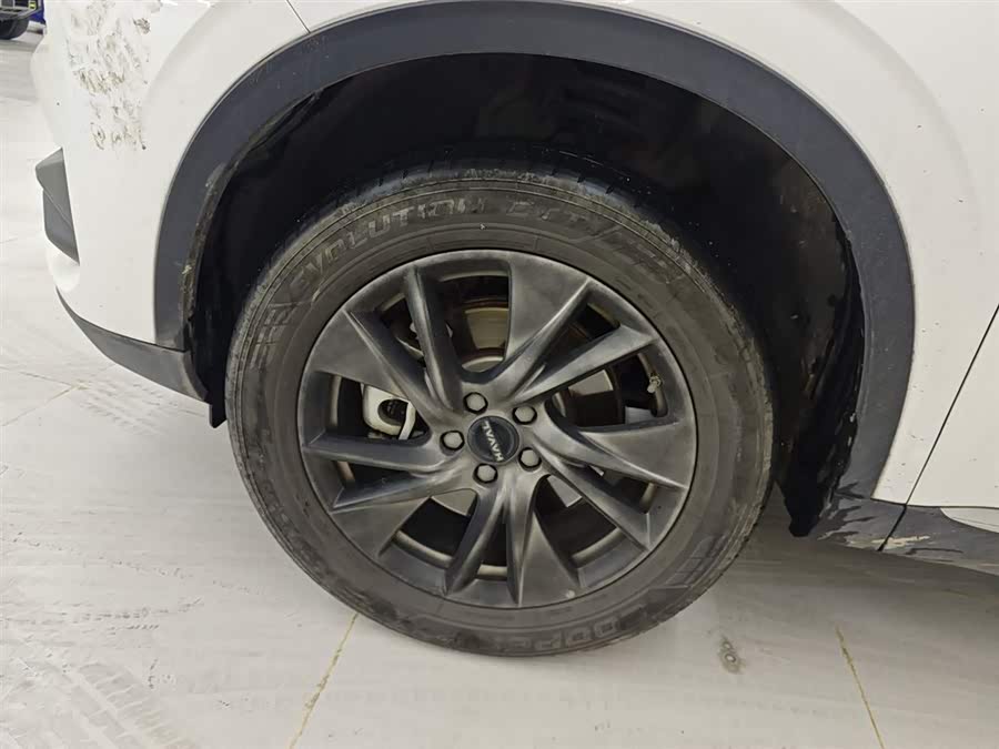 Haval H6 2022 immagine di auto #24