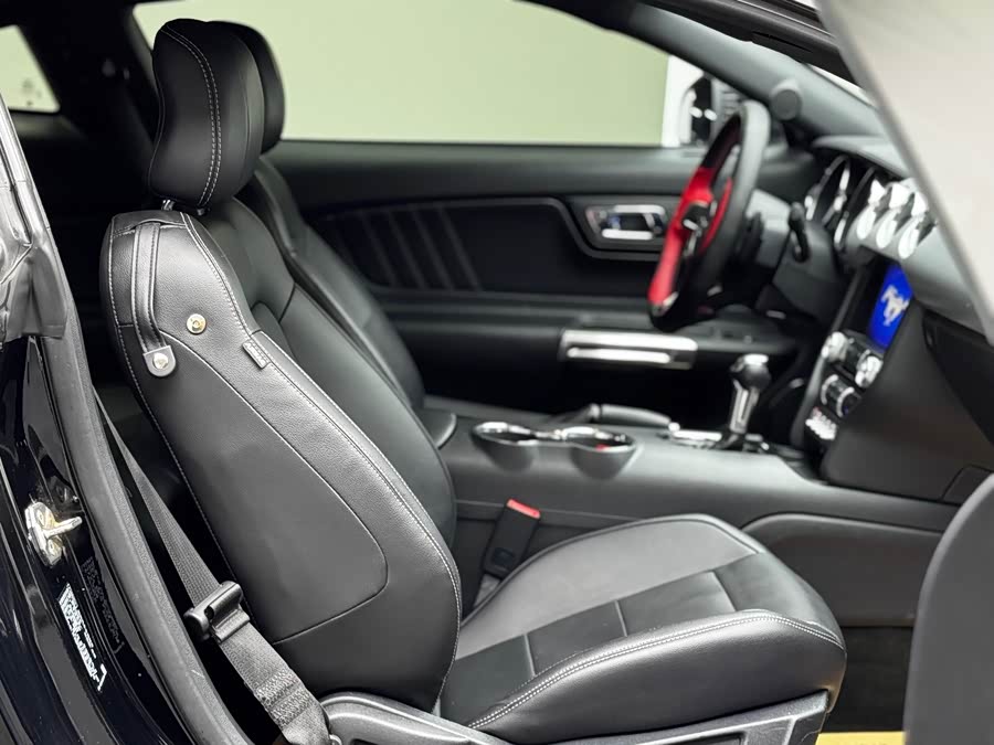 Ford Mustang 2016 car image #24