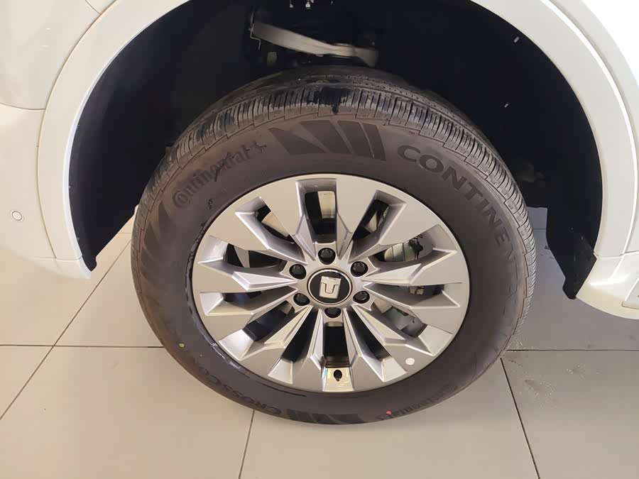 Tank 500 New Energy 2024 immagine di auto #24