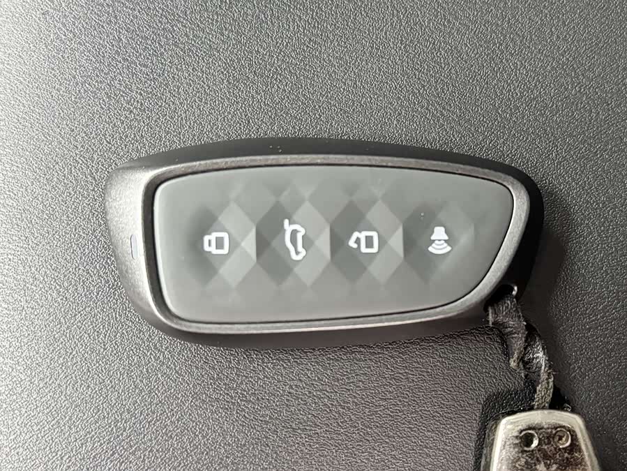 Haval Raptor New Energy 2024 car image #24