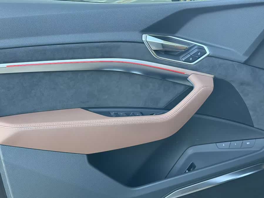 Audi e-tron (Imported) 2022 car image #24