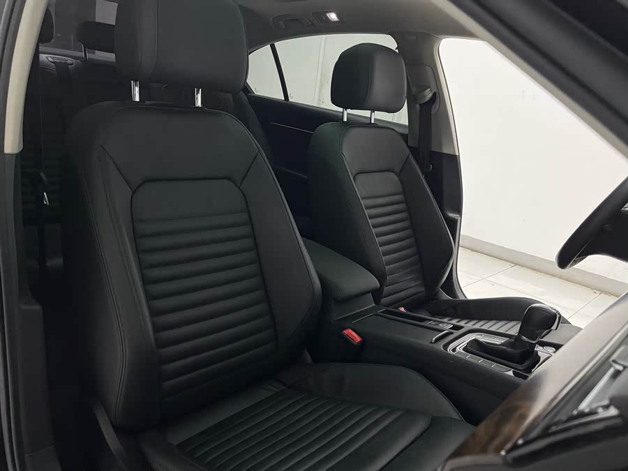 Volkswagen Magotan 2019 car image #24