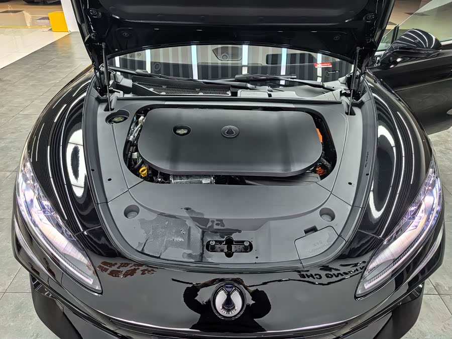 Denza Z9 2024 car image #24