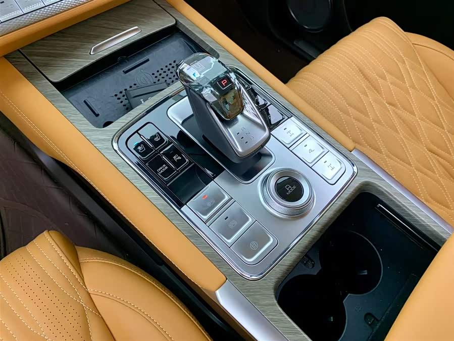 Tank 500 New Energy 2024 immagine di auto #24