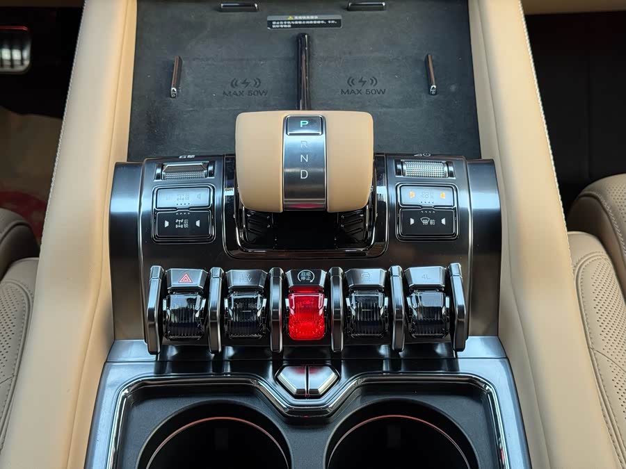 FangChengBao Leopard 8 2024 car image #24