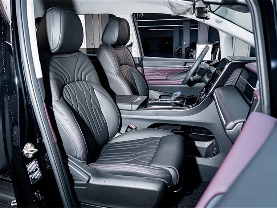 GAC Trumpchi E9 2024 car image #24