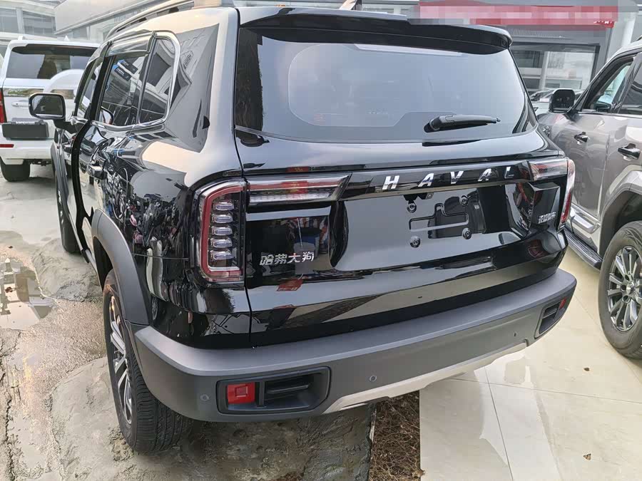 Haval X Dog / Dargo 2022 car image #24