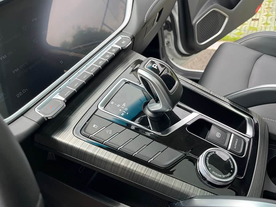 GEELY Boyue 2020 image de voiture #24