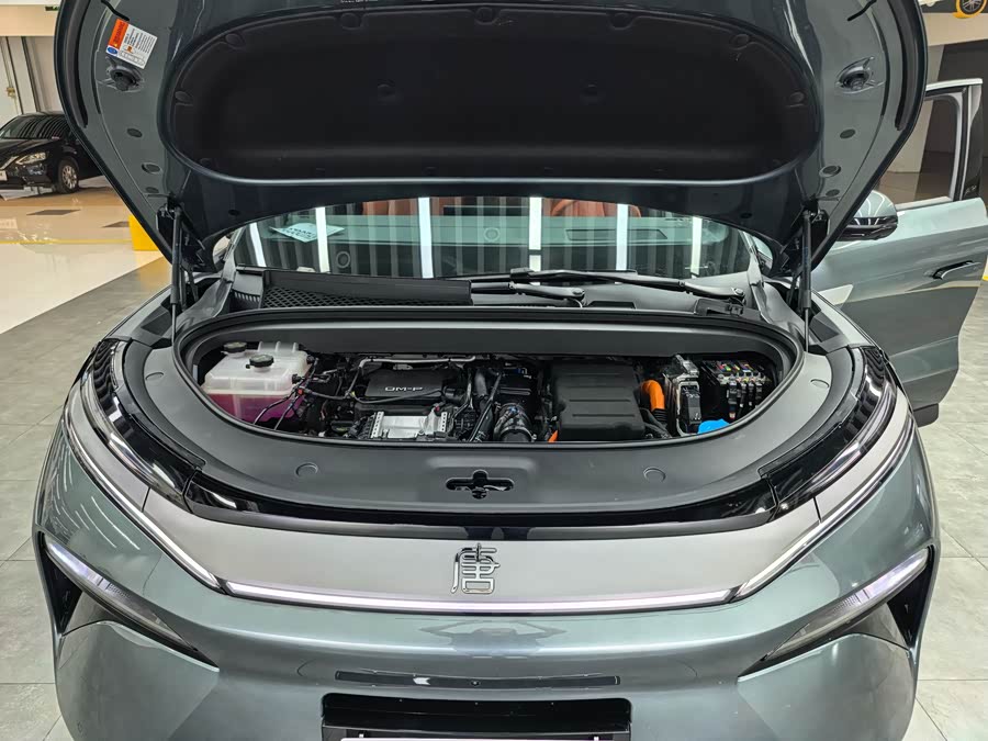 BYD Tang L 2025 #24 BYD Tang L 2025 immagine di auto #24