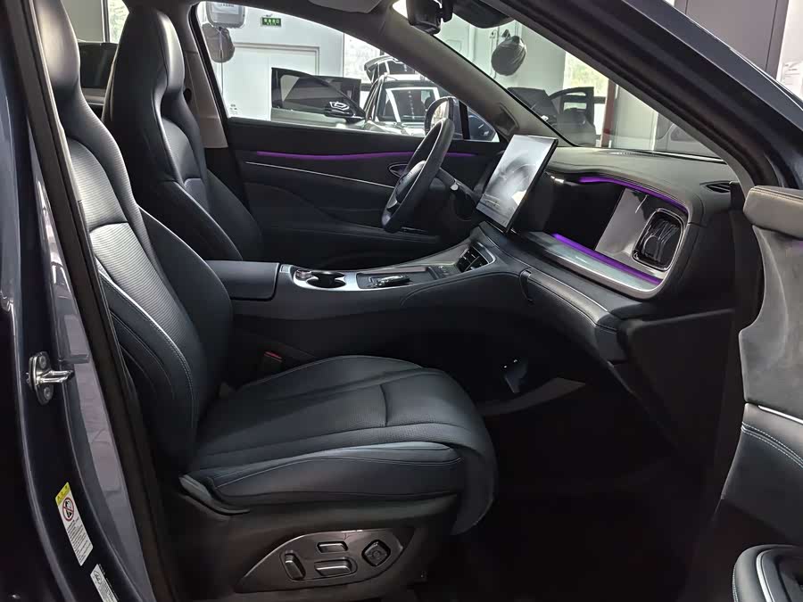 BYD Sea Lion 07 DM-i 2025 car image #24