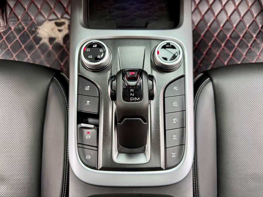 Tank 300 2022 car image #24