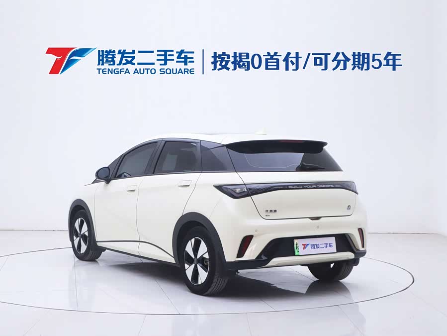 BYD Dolphin 2023 immagine di auto #24