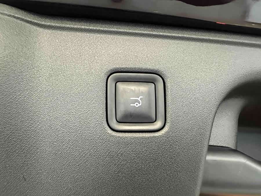 Leapmotor C16 2024 car image #24