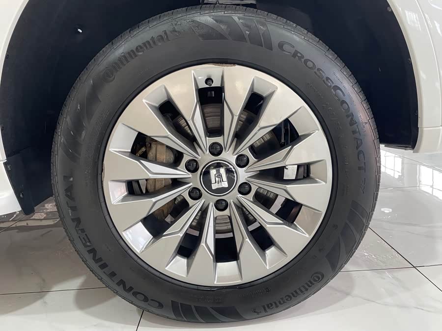 Tank 500 New Energy 2024 car image #24