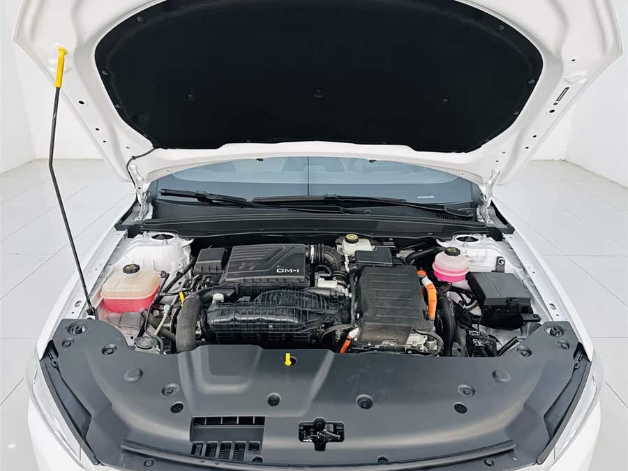 BYD Qin Plus 2023 car image #24