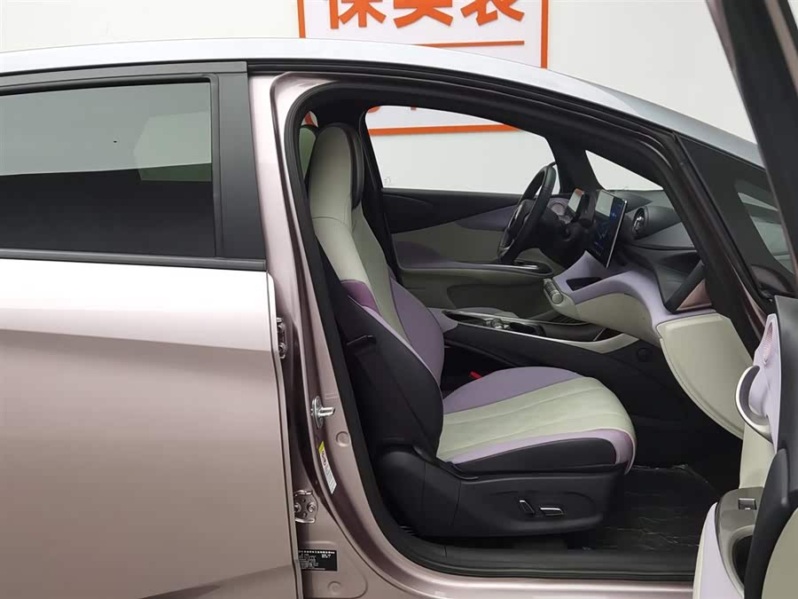 BYD Dolphin 2024 immagine di auto #24