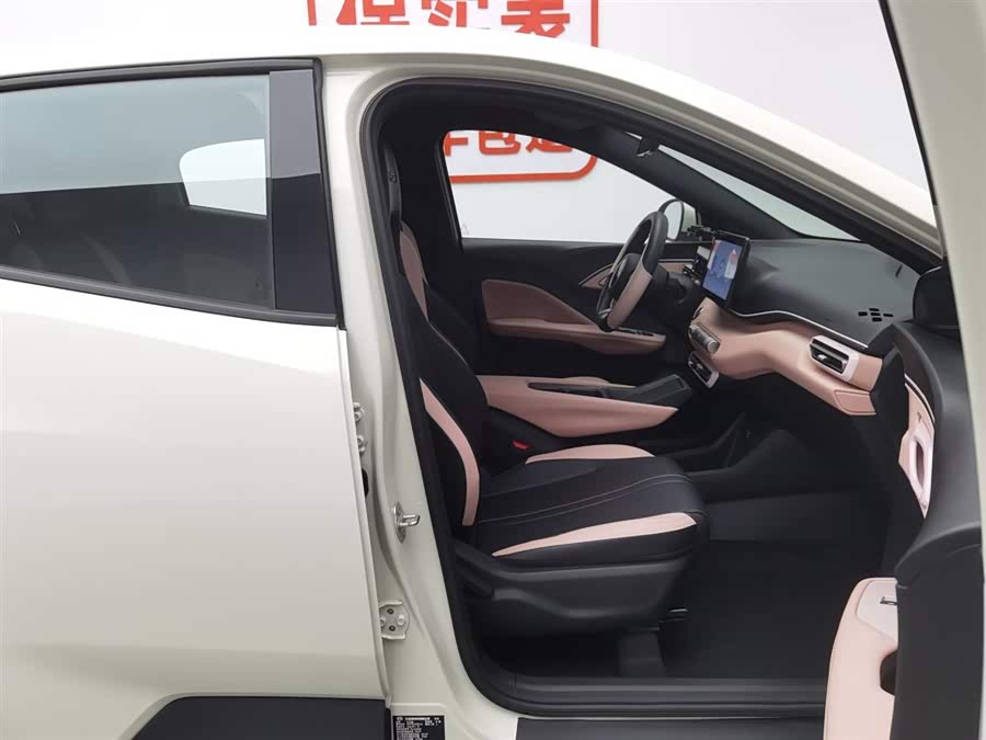 BYD Seagull 2024 immagine di auto #24