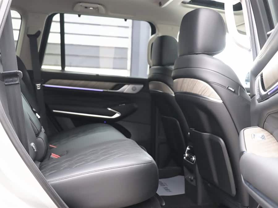 Tank 500 New Energy 2025 car image #24