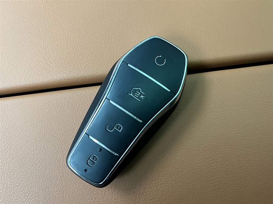 BYD Tang New Energy 2022 immagine di auto #24