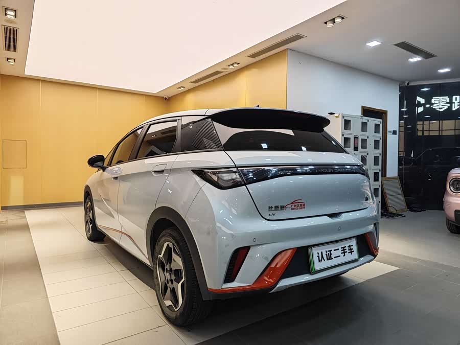 BYD Dolphin 2022 car image #24