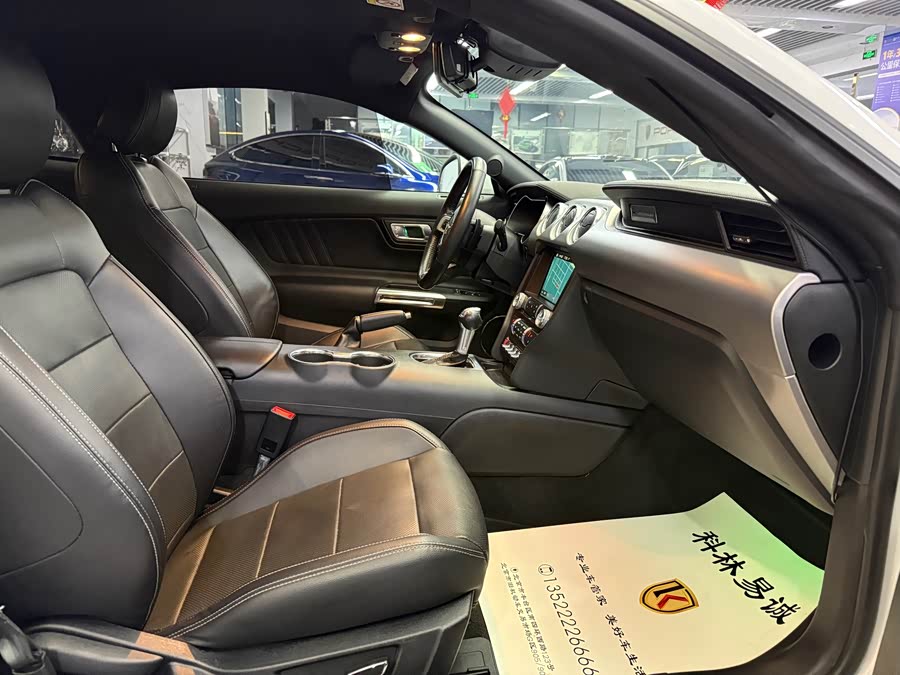 Ford Mustang 2019 #24 Ford Mustang 2019 car image #24