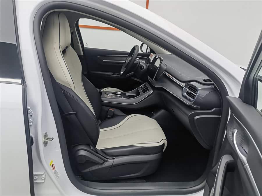 BYD Destroyer 05 2023 car image #24
