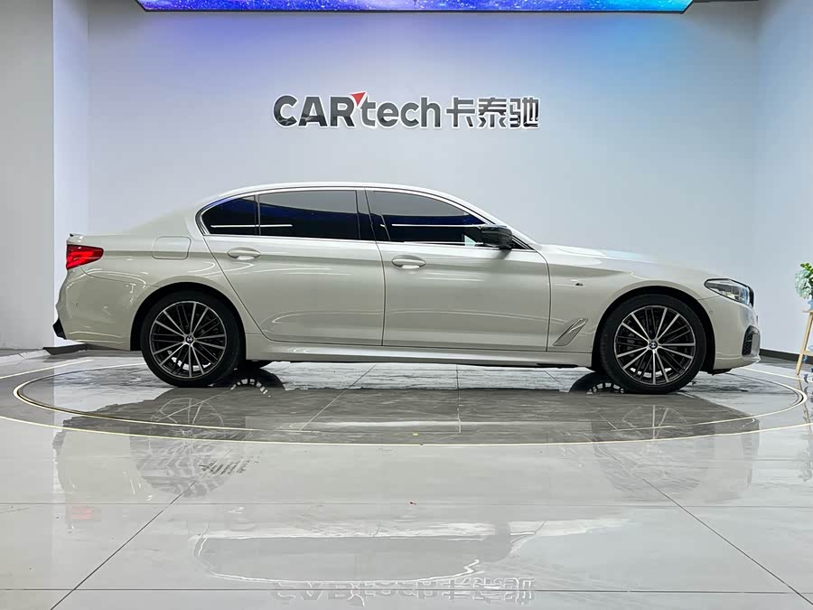 BMW 5 Series 2019 car image #24
