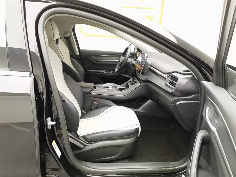 BYD Destroyer 05 2024 car image #24