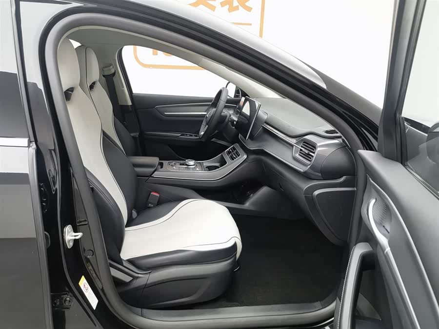 BYD Destroyer 05 2023 car image #24