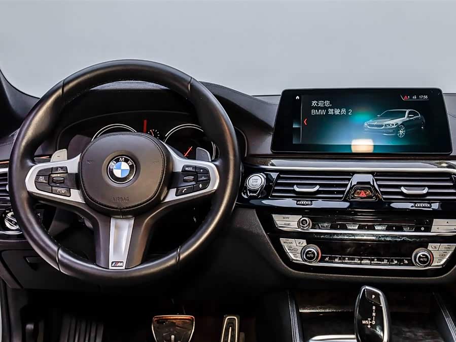BMW 5 Series 2019 car image #24
