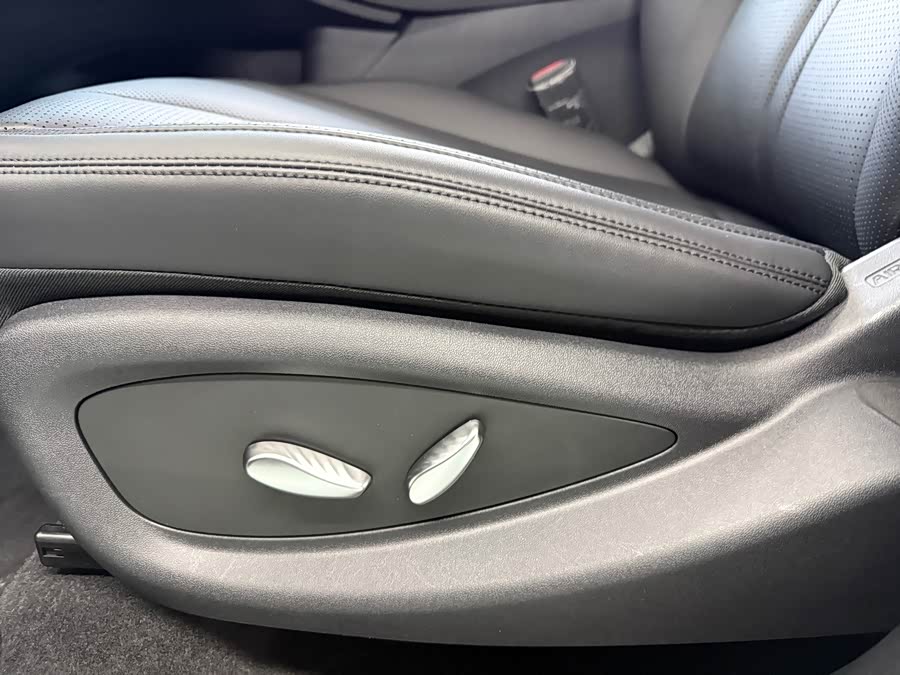 BYD Sea Lion 06 New Energy 2025 car image #24