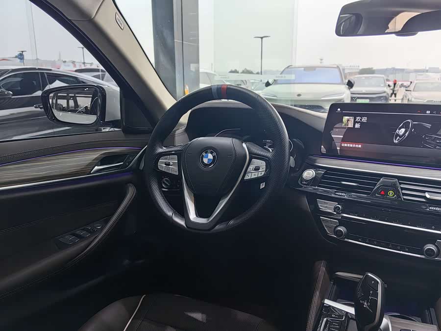 BMW 5 Series 2021 car image #24