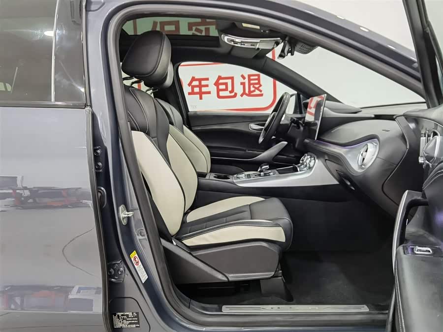 Denza X 2020 imagem de carro #24