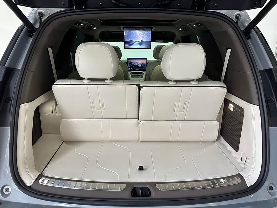 Denza 2025 car image #24