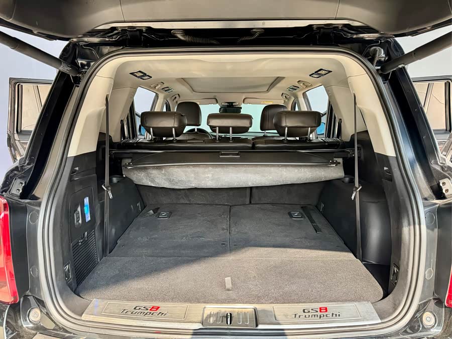 GAC Trumpchi GS8 2018 car image #24