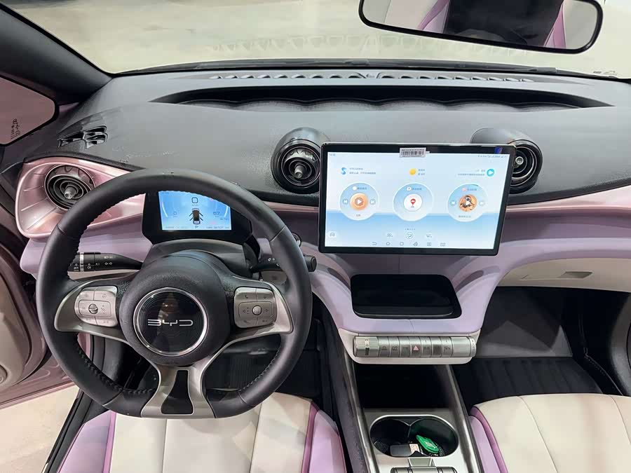 BYD Dolphin 2022 #24 BYD Dolphin 2022 immagine di auto #24