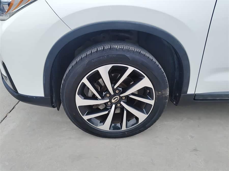 GAC Qizhi PHEV 2019 car image #24
