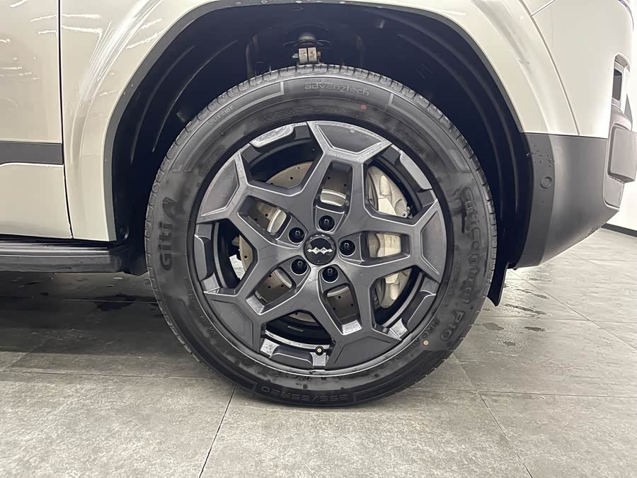 FangChengBao Tiger 7 2025 صورة سيارة #24