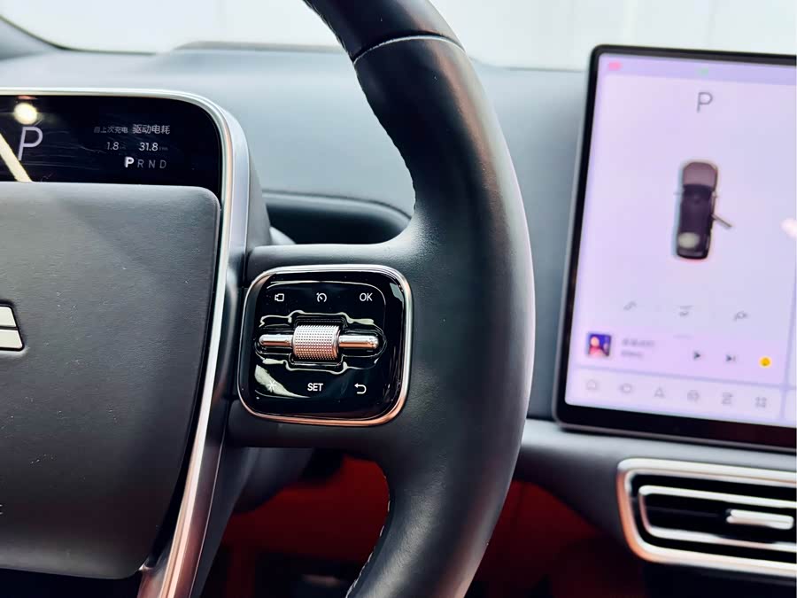 Li L9 2023 imagem de carro #24