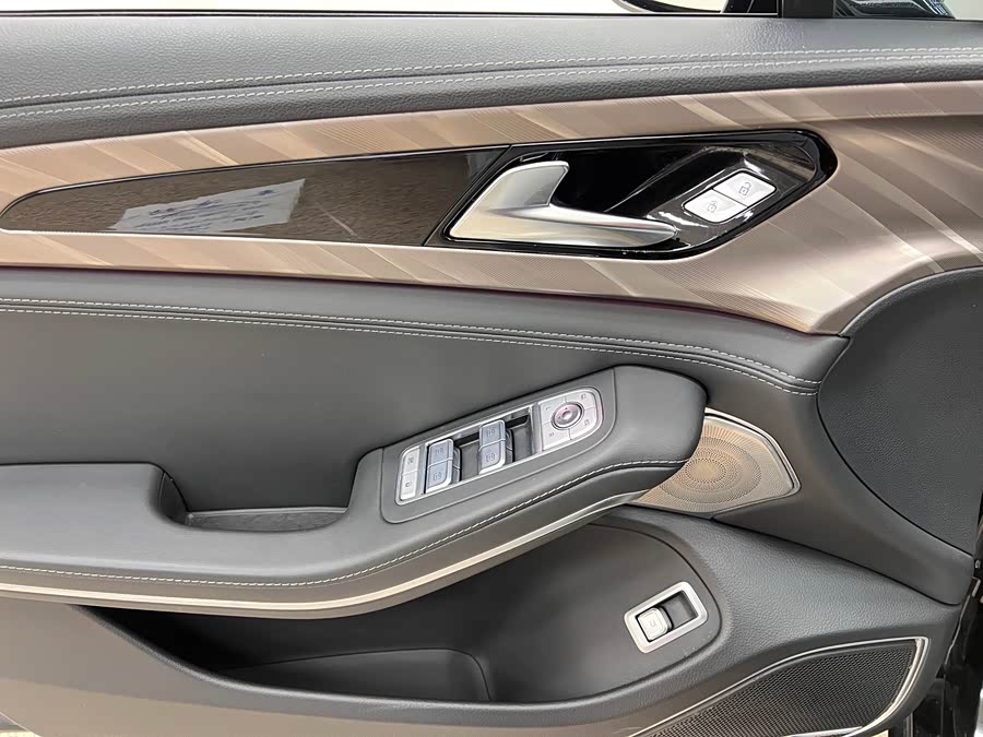 HongQi H9 2021 car image #24