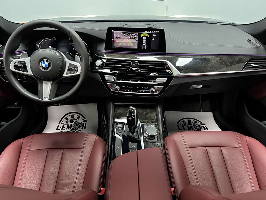 BMW 5 Series 2020 car image #24