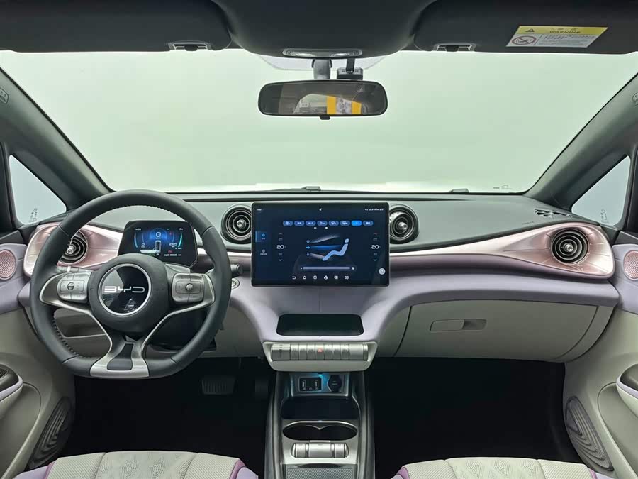 BYD Dolphin 2023 immagine di auto #24