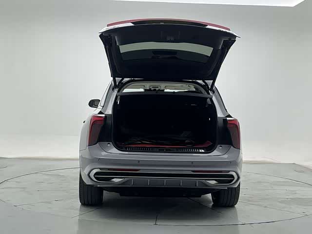 HongQi E-HS9 2023 car image #24