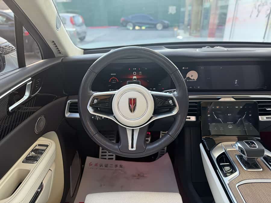 HongQi E-HS9 2022 imagen de coche #24