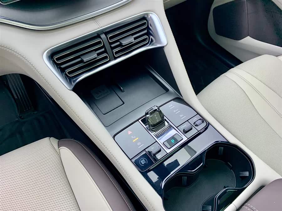 BYD Song Plus New Energy 2025 car image #24