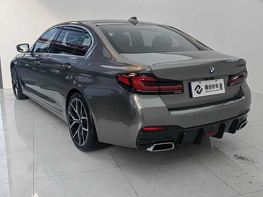 BMW 5 Series 2019 car image #24