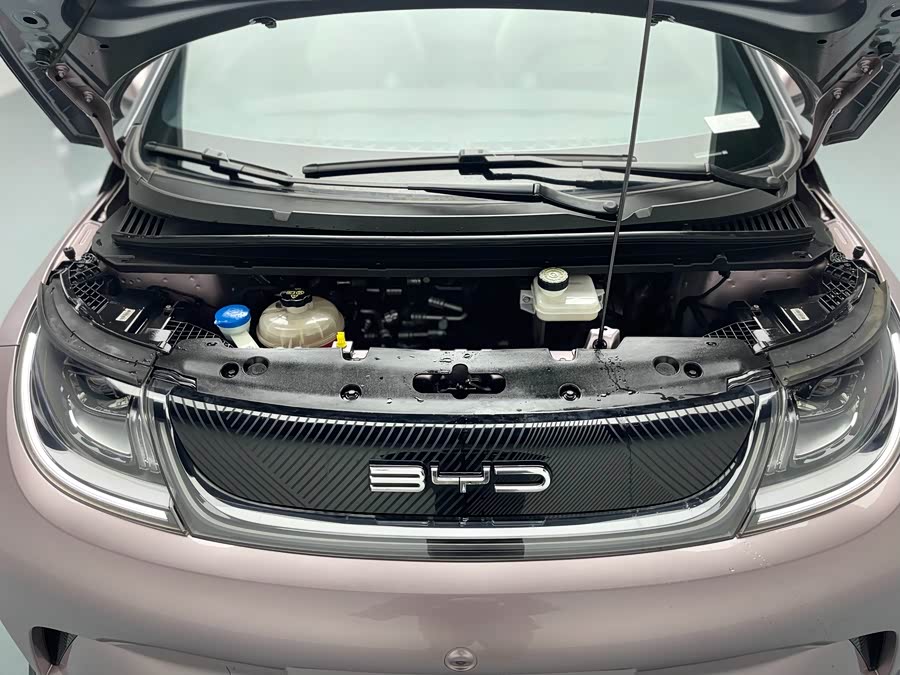 BYD Dolphin 2022 صورة سيارة #24